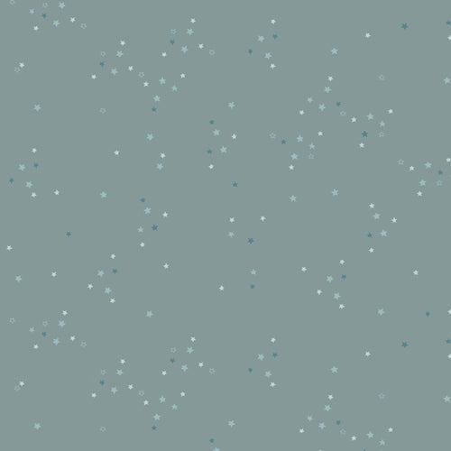Art Gallery Fabrics Adventale - Twinkle Little Stars Sky